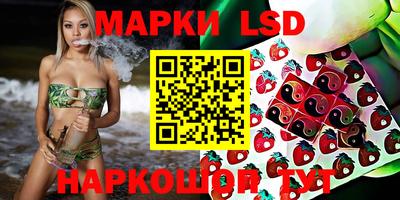 метадон Аргун