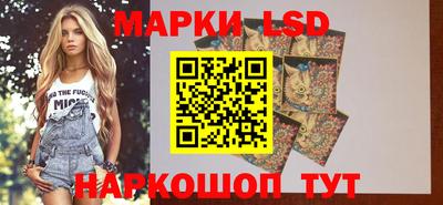 метадон Аргун