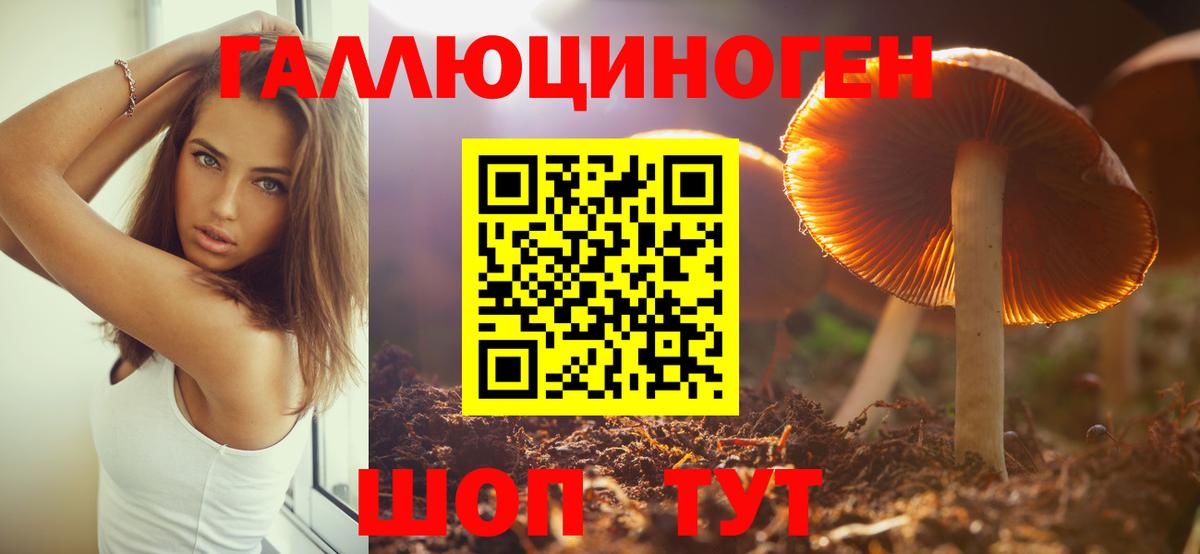 Барнаул  Галлюциногенные грибы Psilocybe  купить наркотик  Вход с VPN 